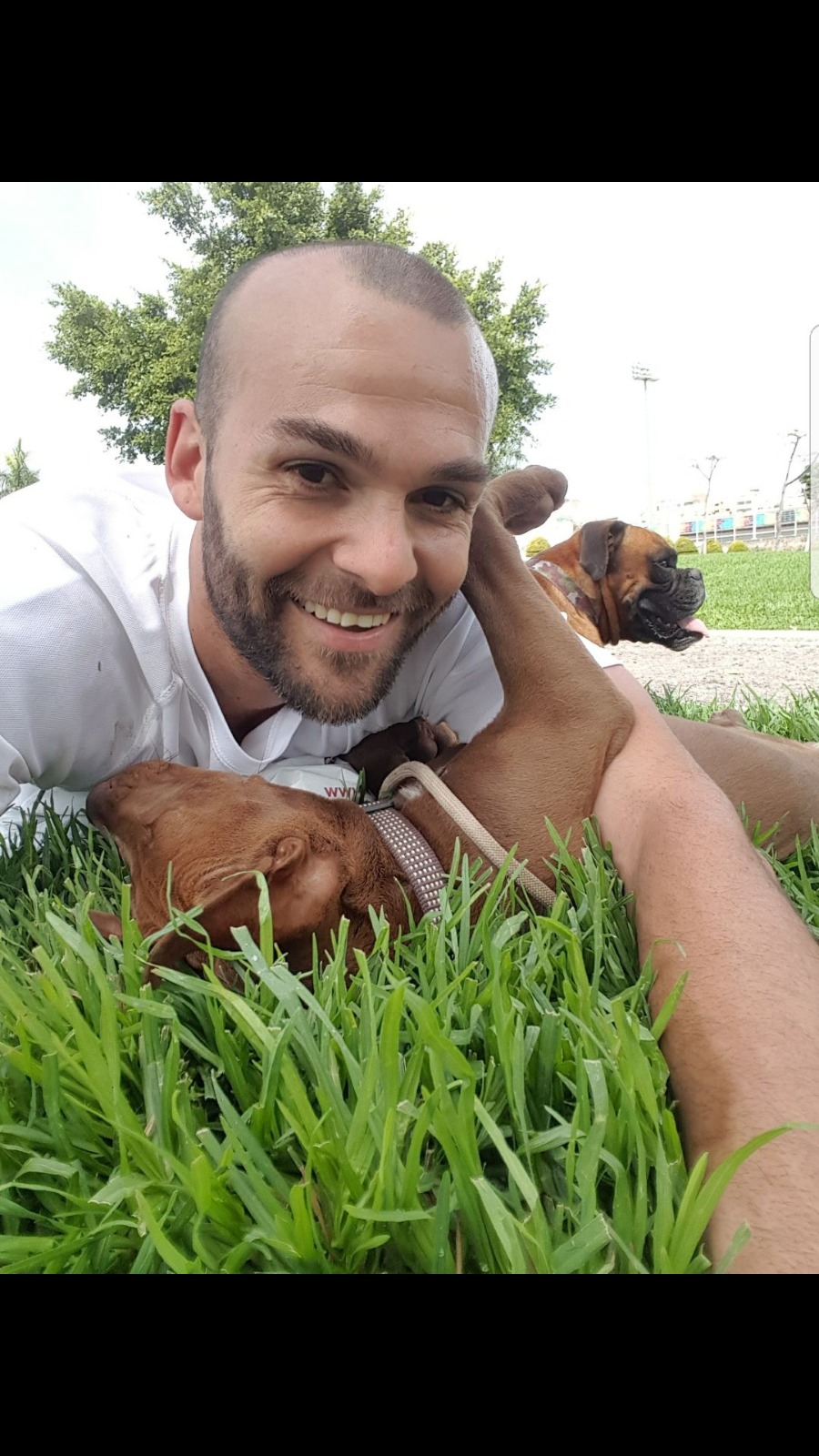 Tratamos con mucho cariño, amor y sensibilidad a nuestros caninos