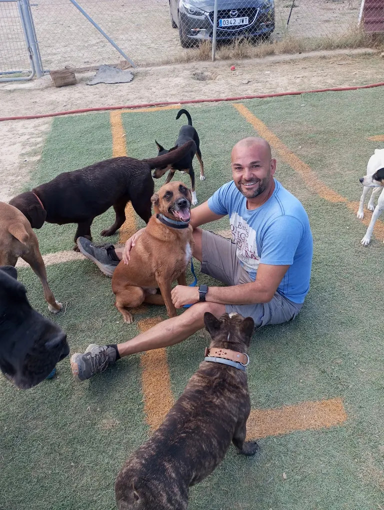 Priorizamos el bienestar de los caninos en nuestro centro