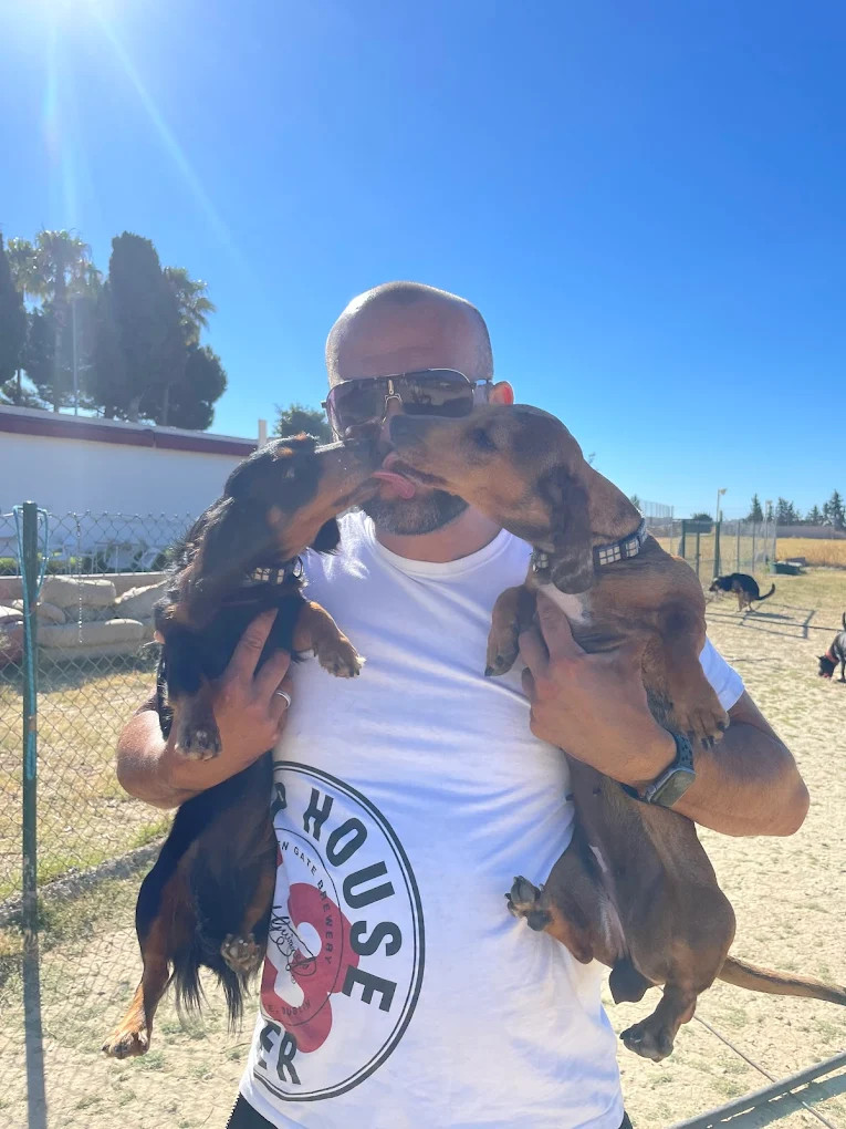 Acogemos a todo tipo de caninos en Guardería Canina Nauzet Ramos.