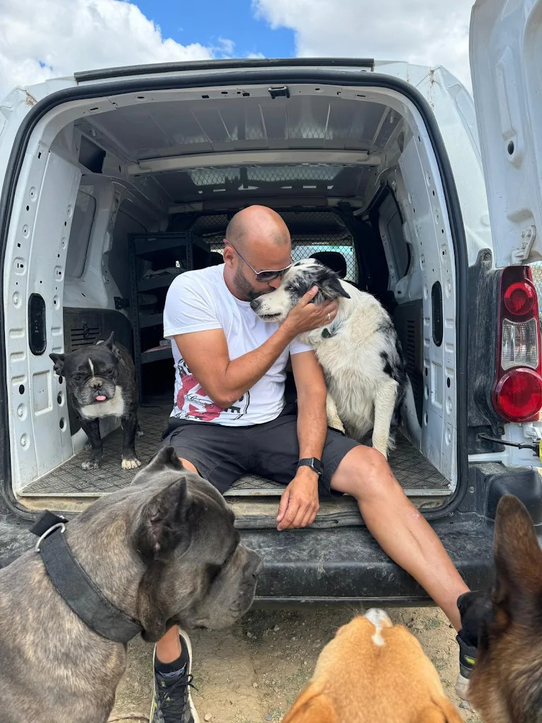 Nuestro servicio de transporte agiliza y facilita la acogida de los caninos