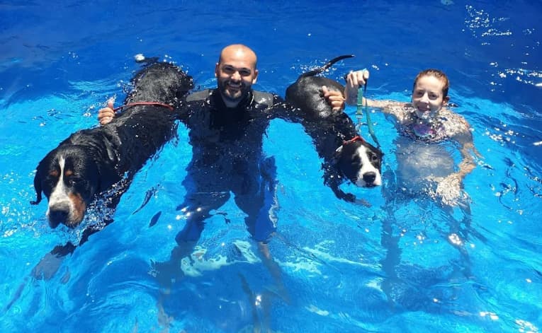 Piscina de la Guardería Canina Nauzet Ramos