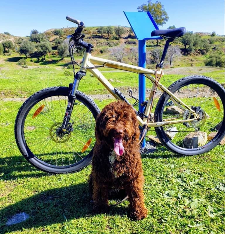 Bienestar y espacios para el ejercicio Canino en Guardería Canina Nauzet Ramos